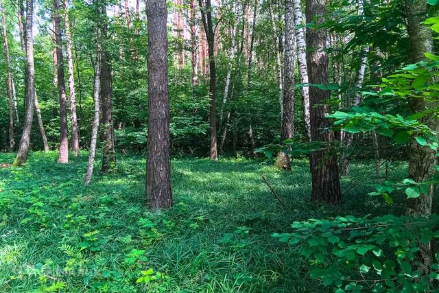 садоводческое некоммерческое товарищество Ольгино фото