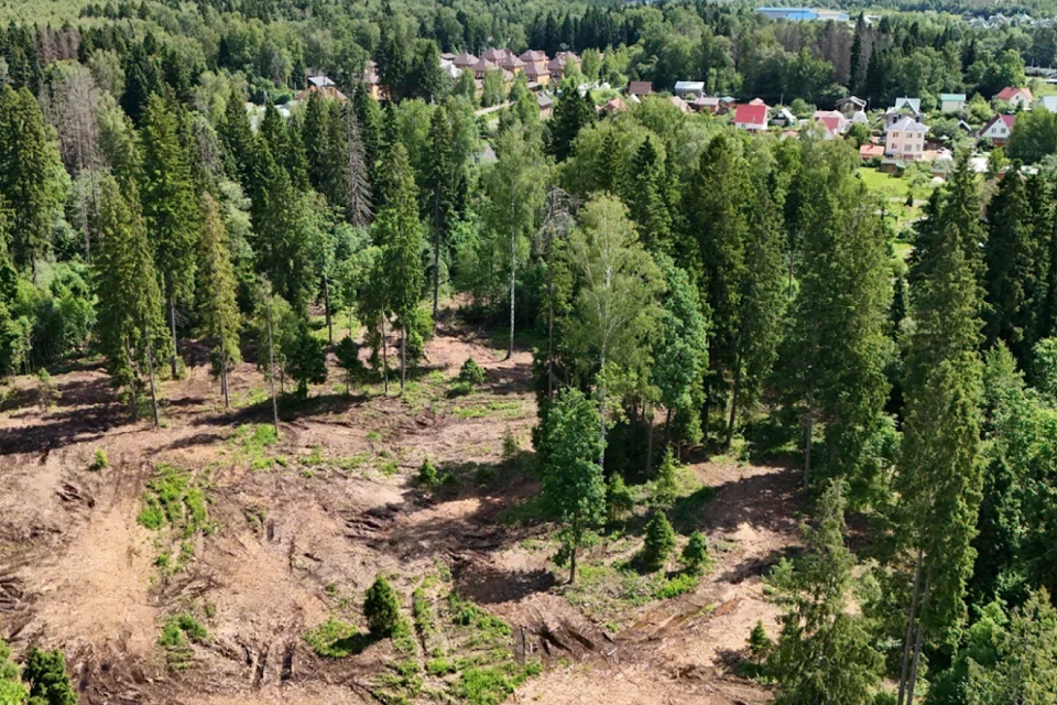 земля городской округ Солнечногорск д. Никольское фото 1