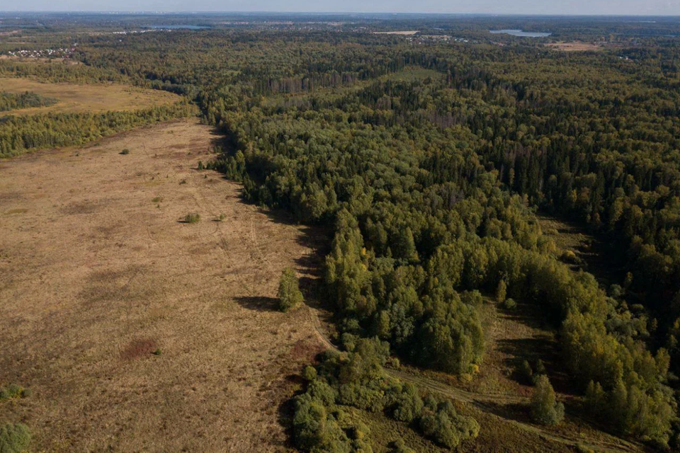 земля городской округ Истра СНТ Московский писатель фото 1