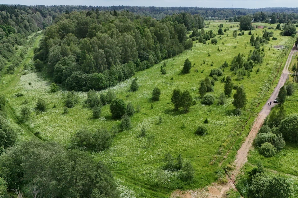 земля городской округ Истра СНТ Московский писатель фото 3