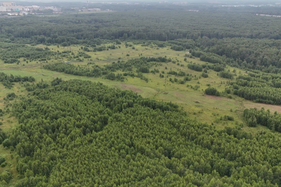 земля Электросталь городской округ, СНТ Восточное фото 3