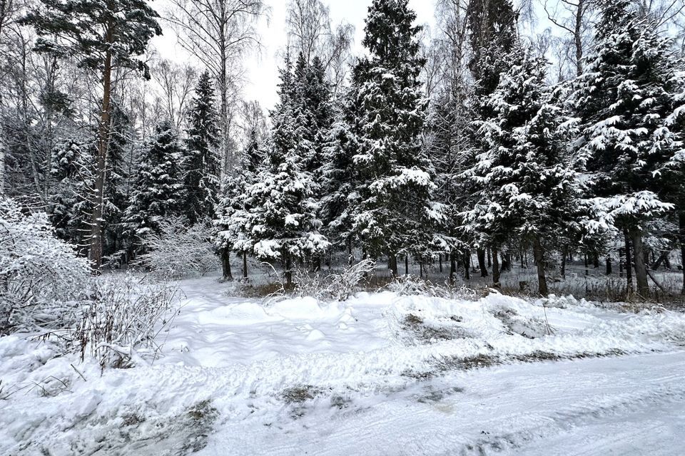 земля городской округ Истра пос. Северный фото 4