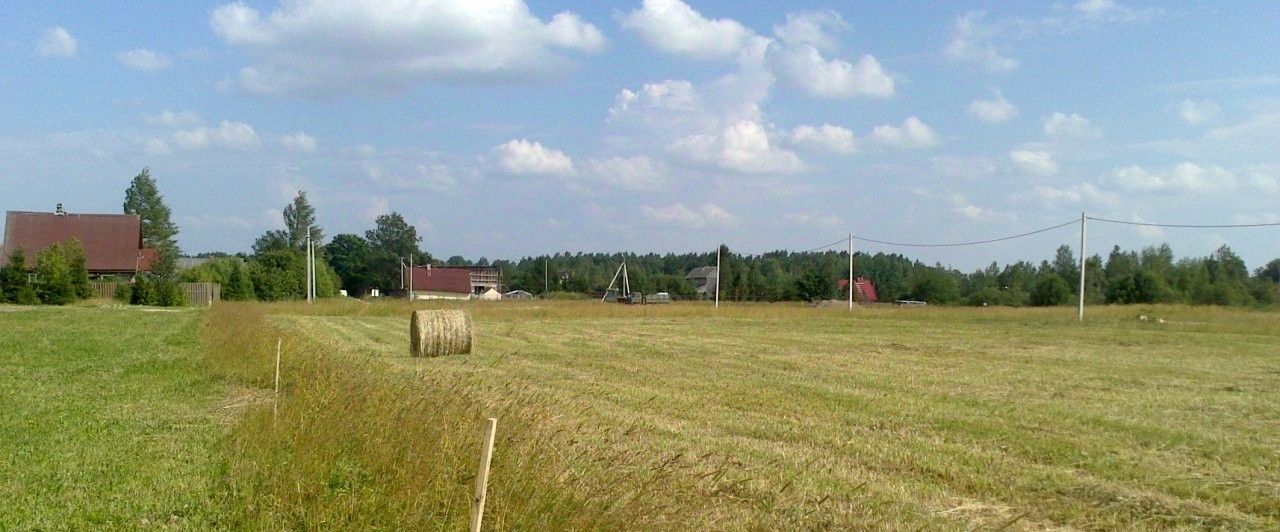 земля р-н Волосовский д Греблово Клопицкое с/пос, Проспект Ветеранов фото 2