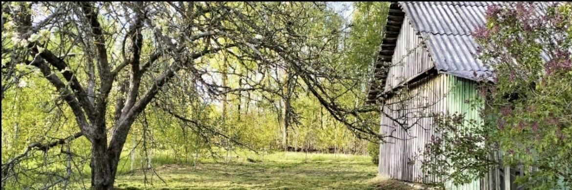 дом р-н Руднянский д Смолиговка ул Лесная фото 4