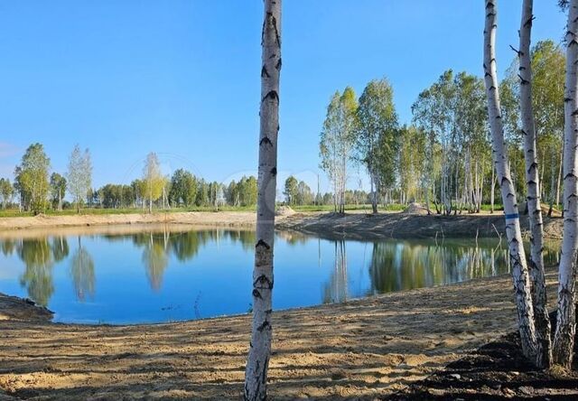 земля р-н Центральный тракт Салаирский 1 километр, 11-й фото