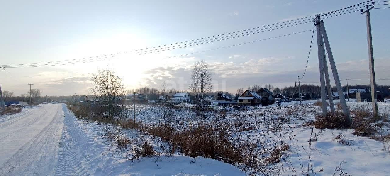 земля г Кемерово ул Совхозная 15 Берёзовское территориальное управление, Берёзово фото 2