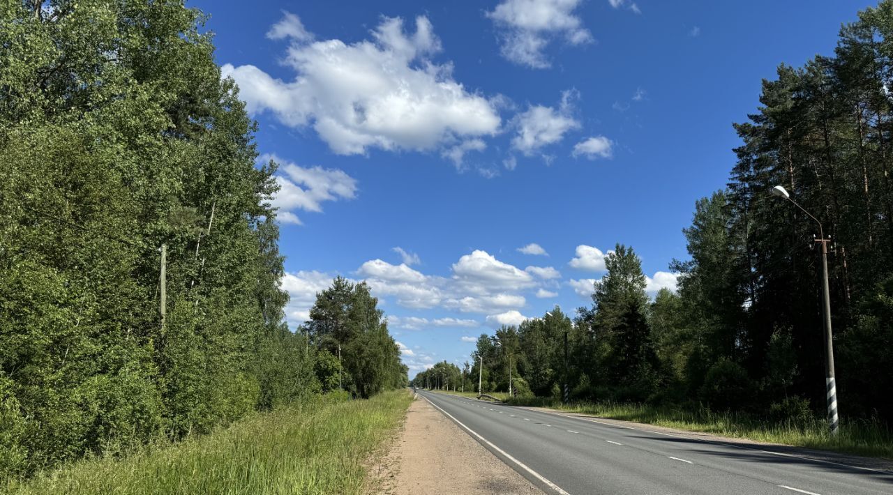 земля р-н Новгородский д Красные Станки Пролетарское городское поселение фото 4