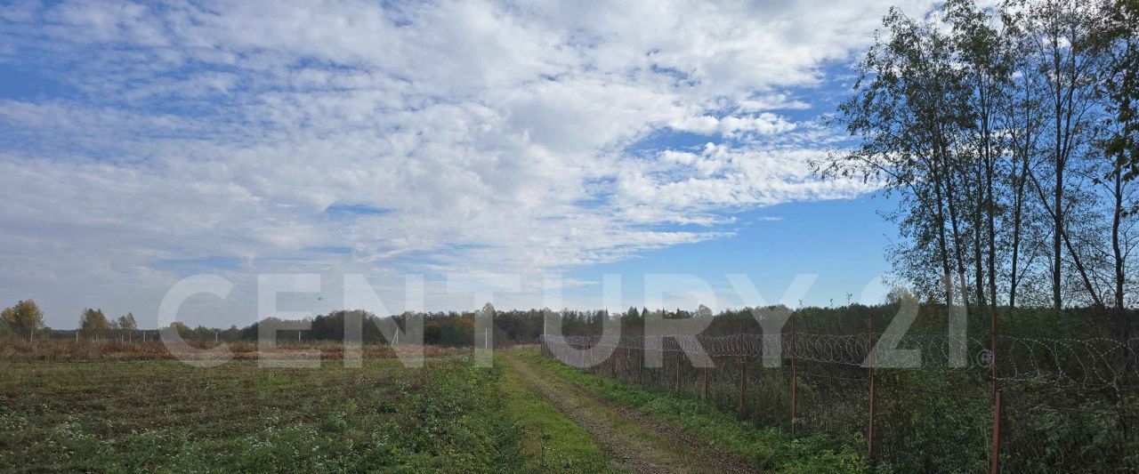 земля городской округ Шаховская д Филенино 19 фото 2