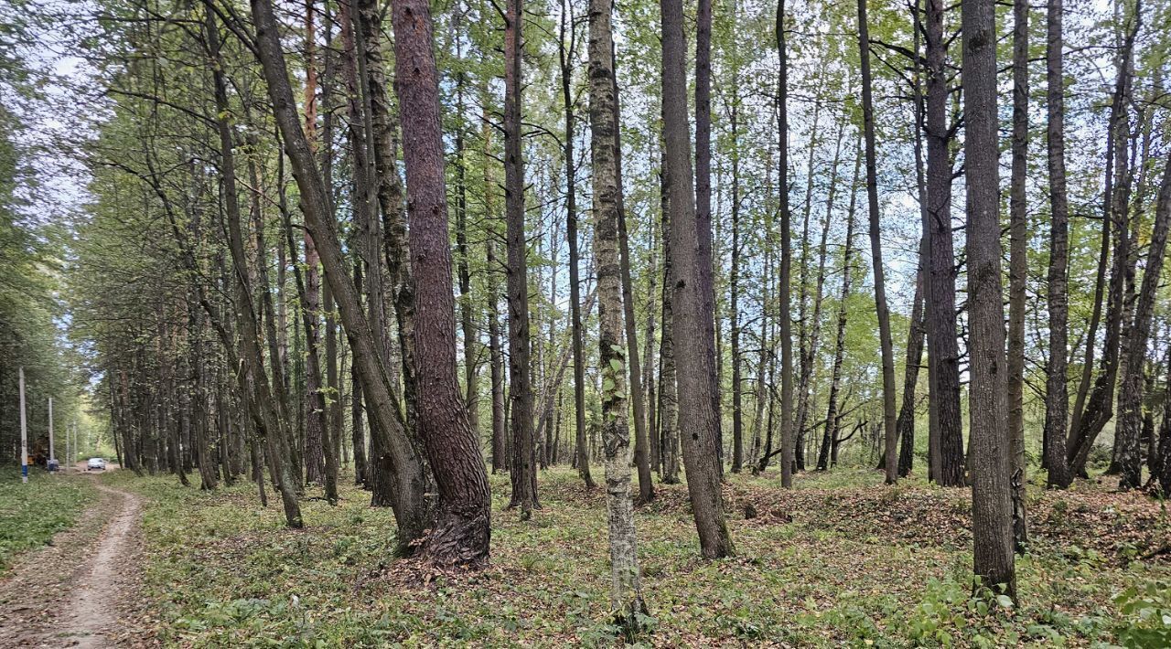 земля городской округ Чехов д Прохорово фото 1