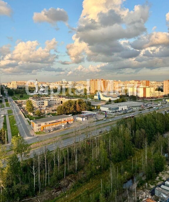 квартира г Санкт-Петербург метро Улица Дыбенко р-н Невский пр-кт Дальневосточный 19к/1 фото 8