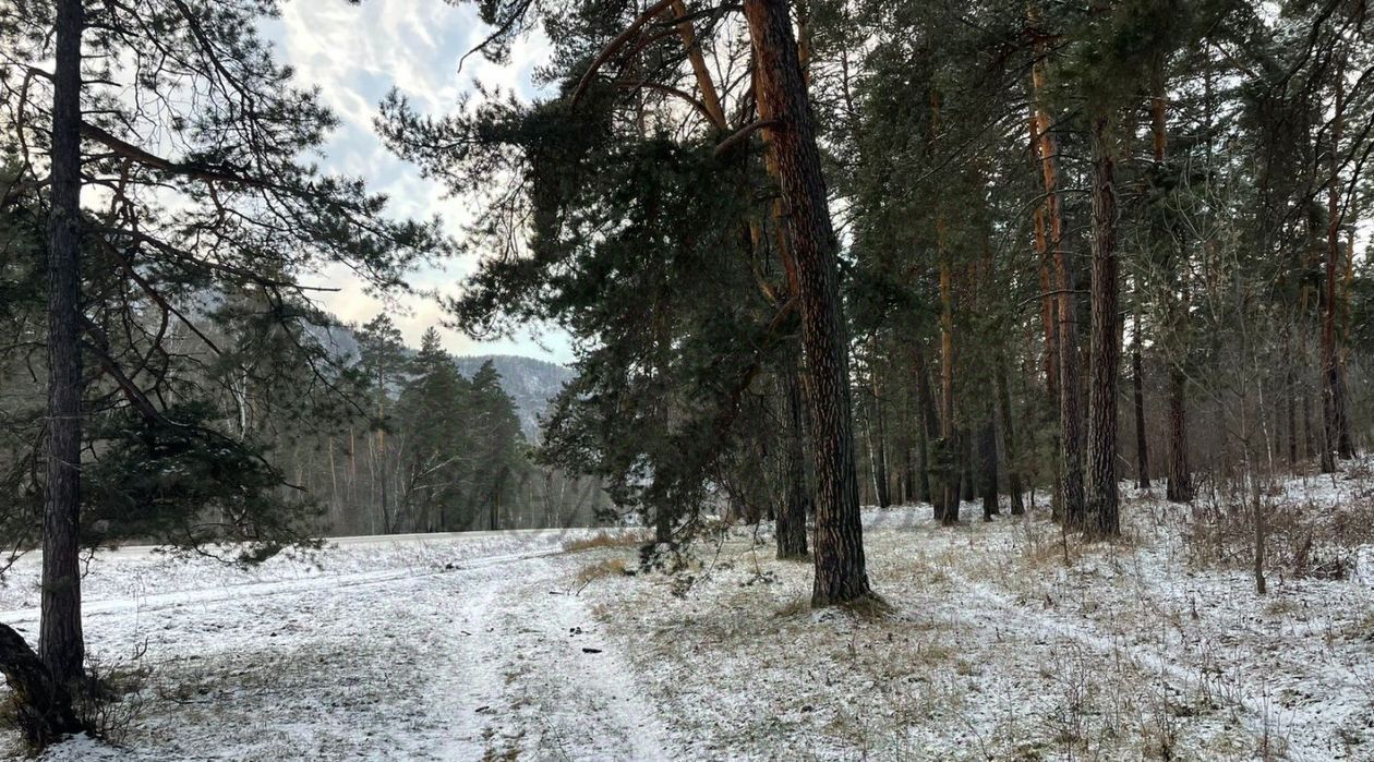 земля р-н Чемальский с Чепош ул Кучияк Чепошское сельское поселение фото 1