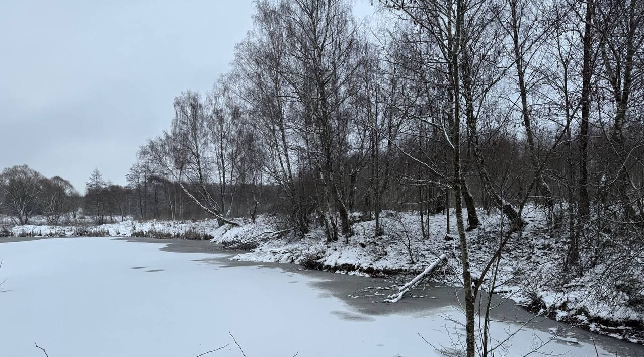 земля городской округ Наро-Фоминский д Семидворье фото 2