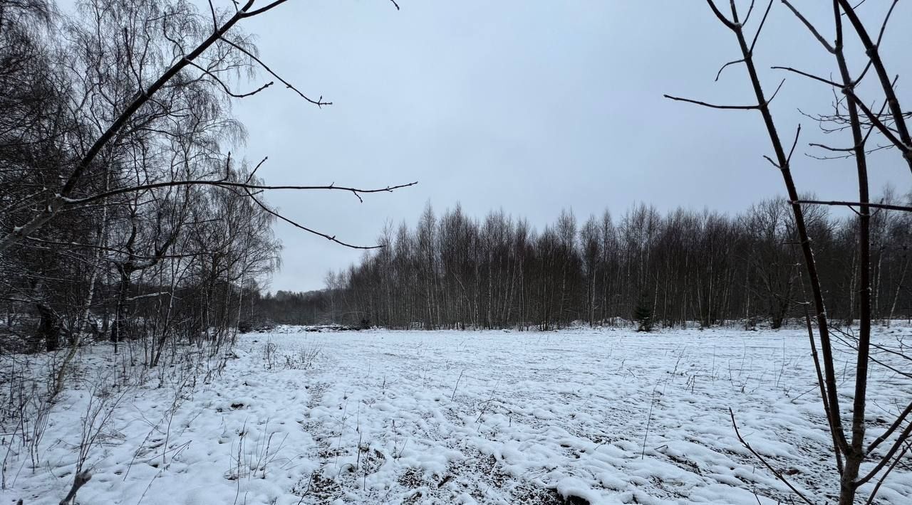 земля городской округ Наро-Фоминский д Семидворье фото 3