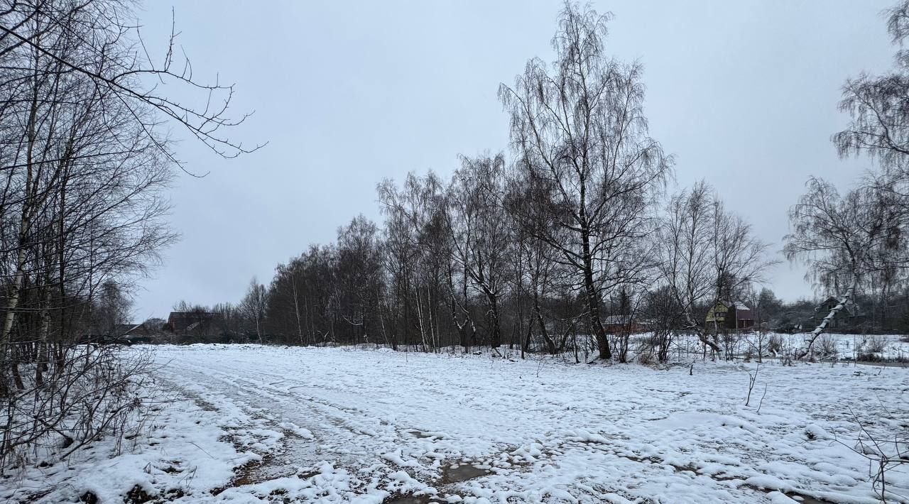 земля городской округ Наро-Фоминский д Семидворье фото 8