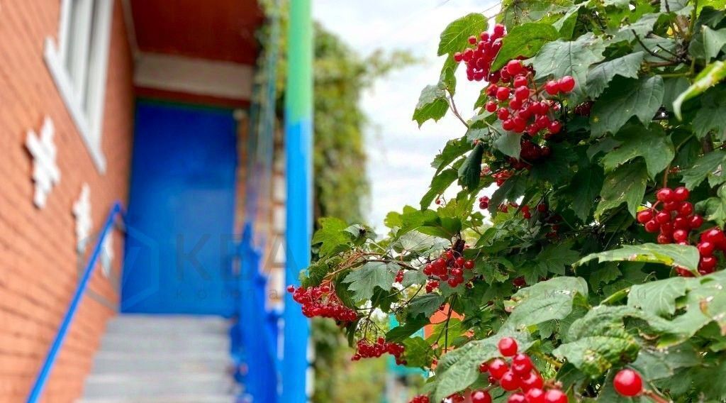 дом г Омск р-н Октябрьский СОСН Фиалка тер. фото 9