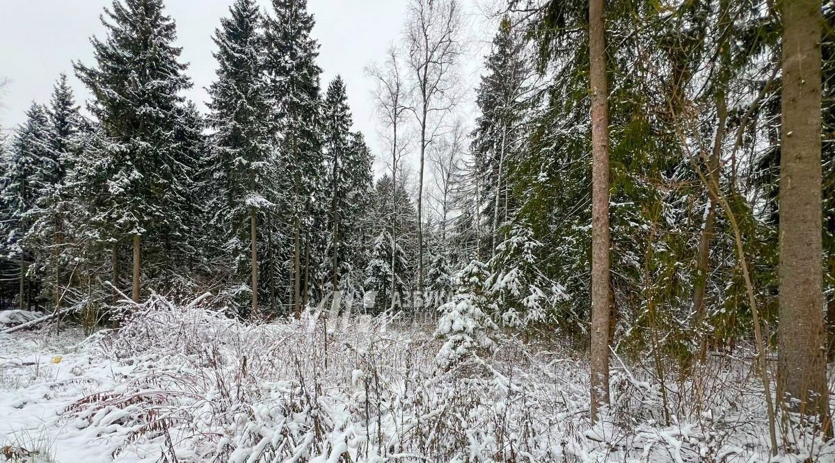 земля городской округ Дмитровский д Агафониха ул Зеленая Лобня фото 5