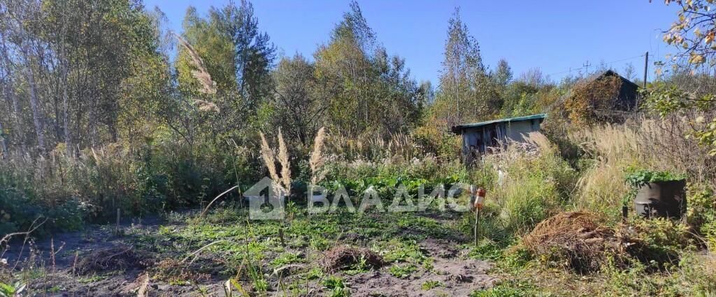 дом р-н Камешковский снт Новая жизнь-6 Второвское муниципальное образование, ТСН, 23/4 фото 5