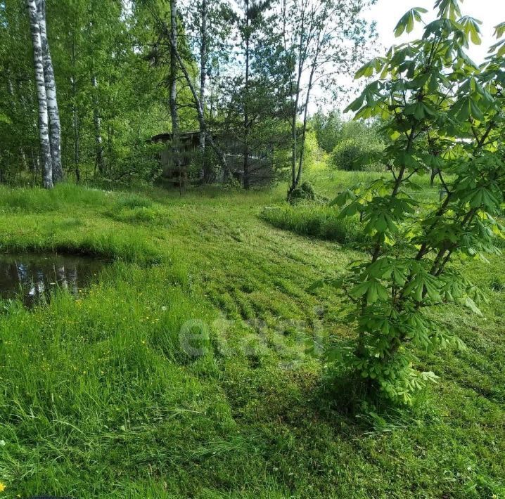 земля р-н Киришский массив Кусино снт Ладога Кусинское с/пос, садоводческое товарищество, 8 фото 5