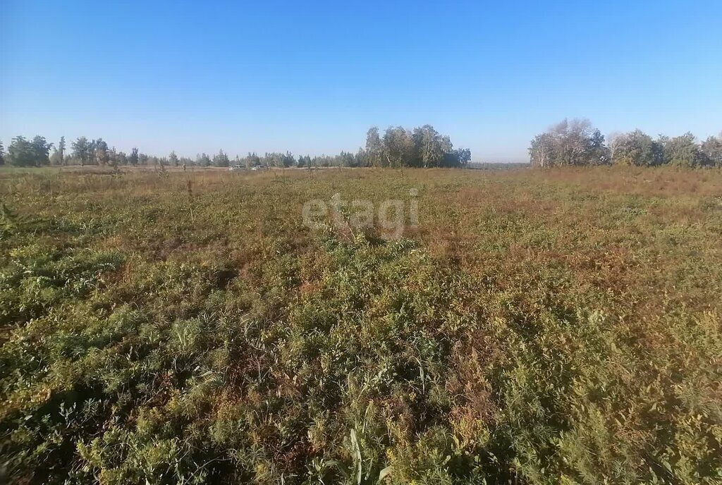 земля р-н Омский п Имени Комиссарова Усть-Заостровское сельское поселение фото 5