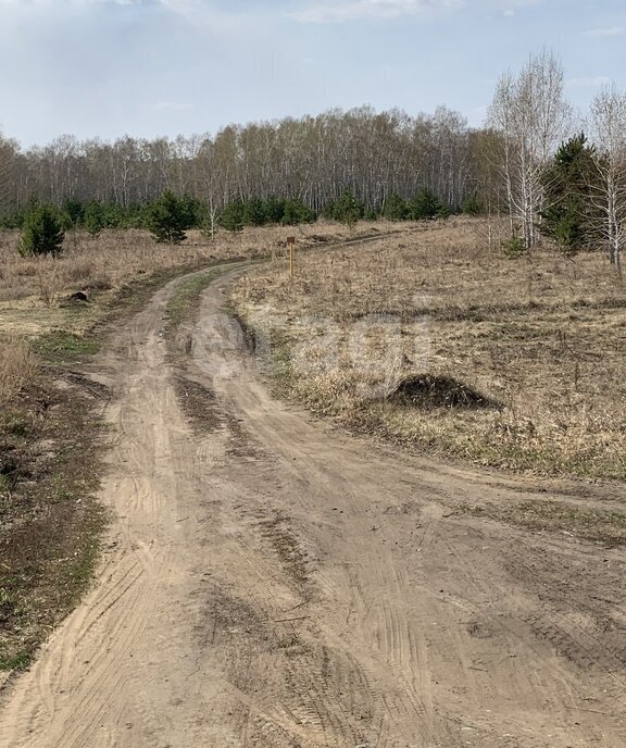 земля р-н Омский с Новотроицкое ул Ленина фото 9