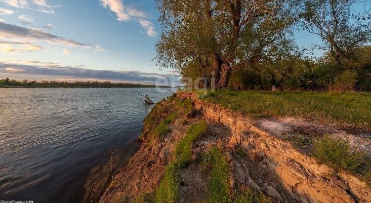 земля р-н Омский с Красная Горка Дружинское сельское поселение фото 11