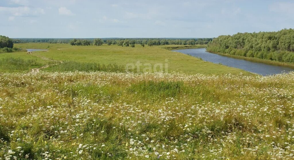 земля р-н Муромцевский д Окунево Бергамакское сельское поселение фото 14