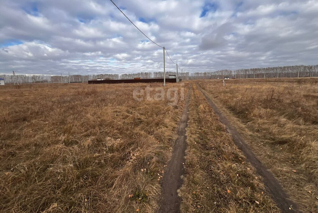 земля р-н Омский с Усть-Заостровка ул Куйбышева Усть-Заостровское сельское поселение фото 6