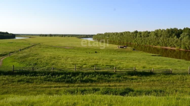 земля р-н Муромцевский д Окунево Бергамакское сельское поселение фото 14