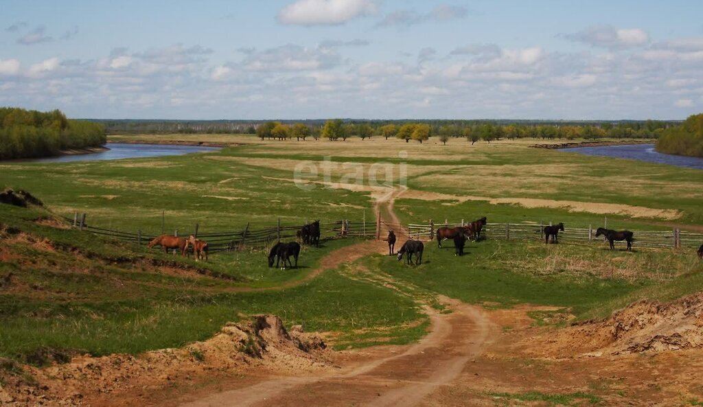 земля р-н Муромцевский д Окунево ул Мира Бергамакское сельское поселение фото 23