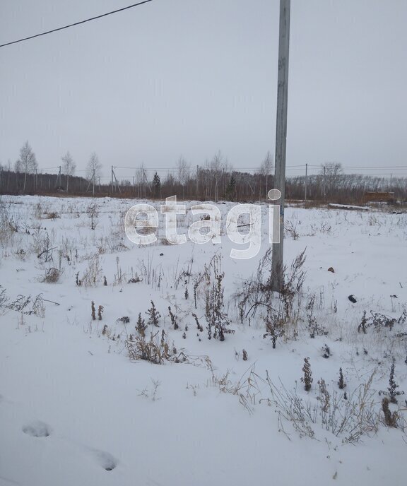 земля р-н Ишимский с Гагарино ул Гагарина фото 4