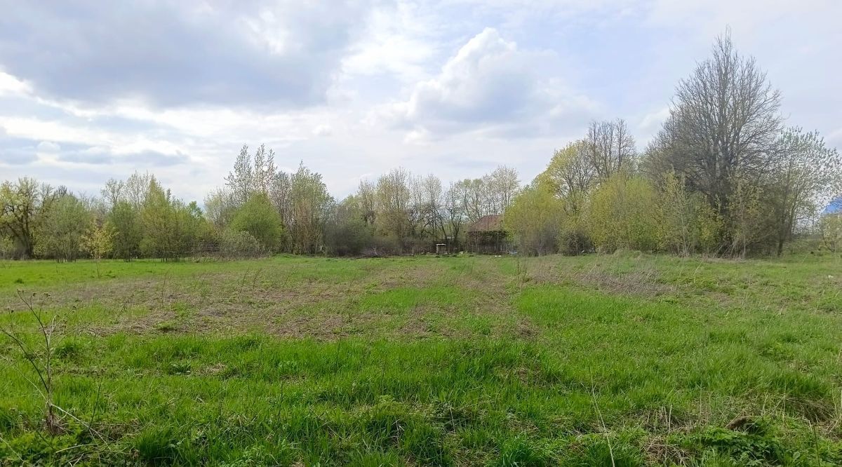 земля р-н Дзержинский п Пятовский ул Ленина городское поселение Пятовский фото 2