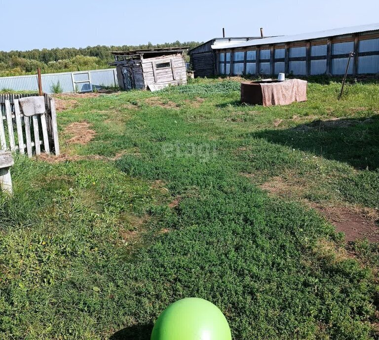 дом р-н Сорокинский с Александровка ул Советская фото 5