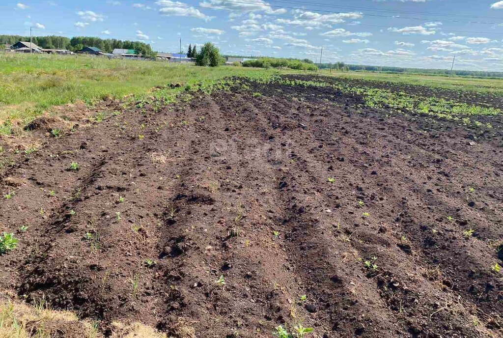 дом р-н Омутинский с Ситниково ул Советская фото 14