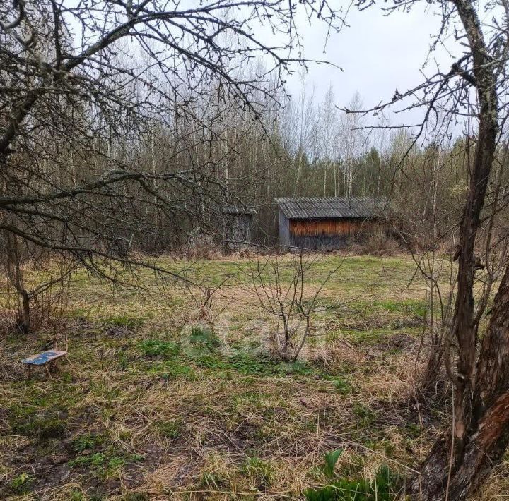 земля городской округ Орехово-Зуевский ул. Центральная, Мечта СНТ фото 1