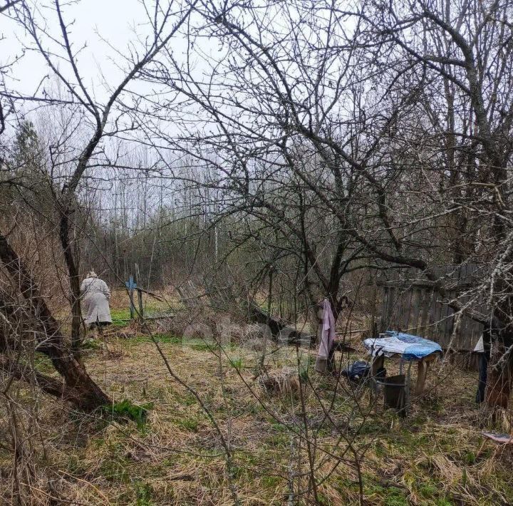 земля городской округ Орехово-Зуевский ул. Центральная, Мечта СНТ фото 4