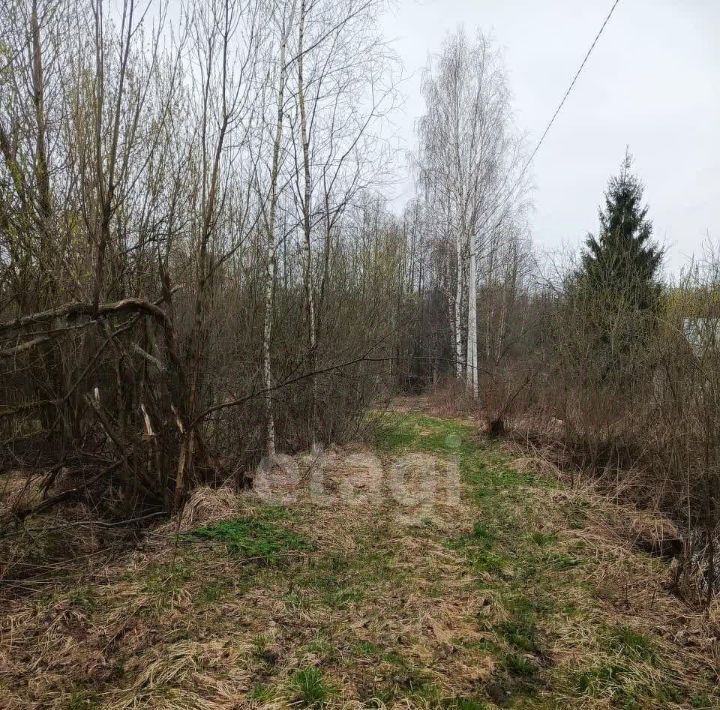 земля городской округ Орехово-Зуевский ул. Центральная, Мечта СНТ фото 2