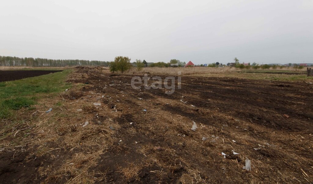 земля р-н Ишимский с Ершово ул Подтобольская фото 5