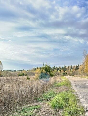 д Пеньгово ул Садовая фото