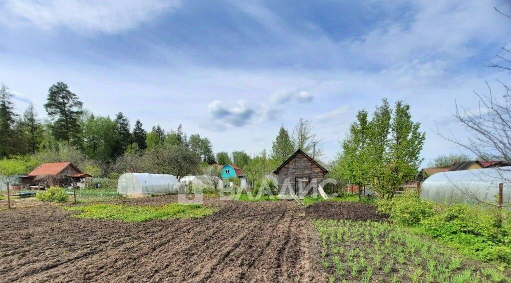 земля г Владимир р-н Октябрьский снт Автомобилист 284 фото 1