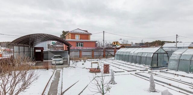 земля р-н Восточный СНТСН Суходольное тер. фото