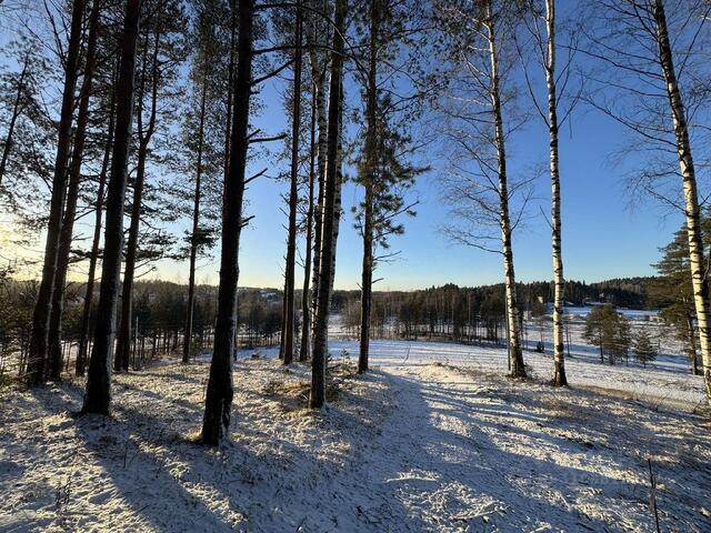 Бугровское городское поселение, Земельные участки в Мистолово кп, Парнас фото