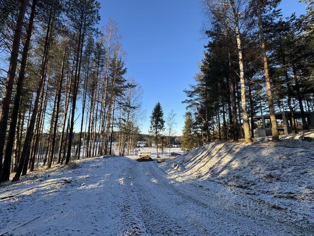 земля р-н Всеволожский д Мистолово Бугровское городское поселение, Земельные участки в Мистолово кп, Парнас фото 6