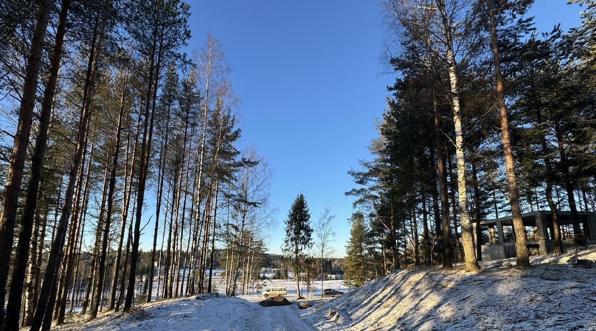 земля р-н Всеволожский д Мистолово Бугровское городское поселение, Земельные участки в Мистолово кп, Парнас фото 6