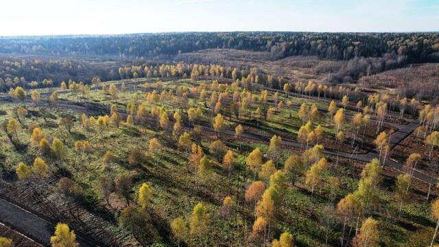 Малахитовые дачи кп фото