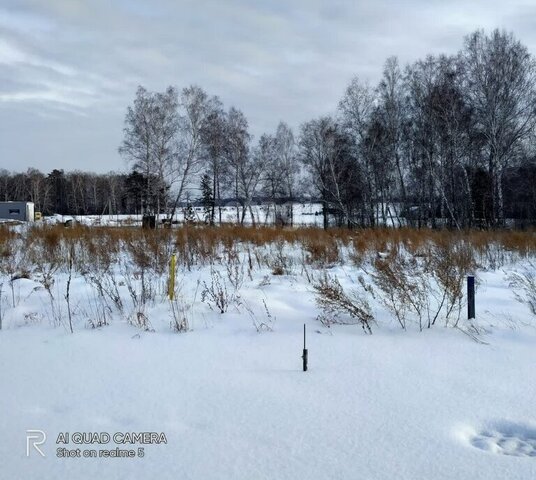 ул Ореста Кипренского Санниковский сельсовет фото