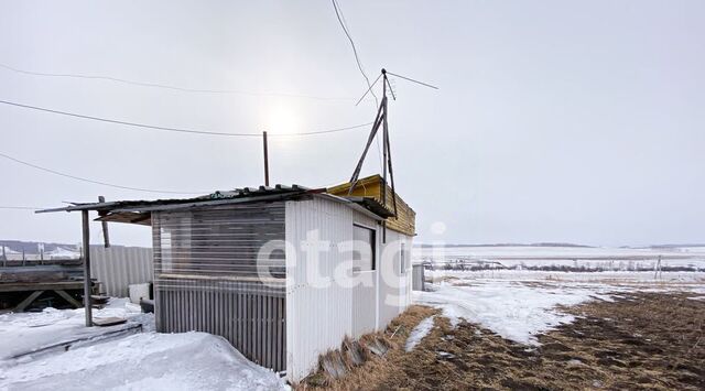 земля д Замятино ул Садовая Шуваевский сельсовет фото