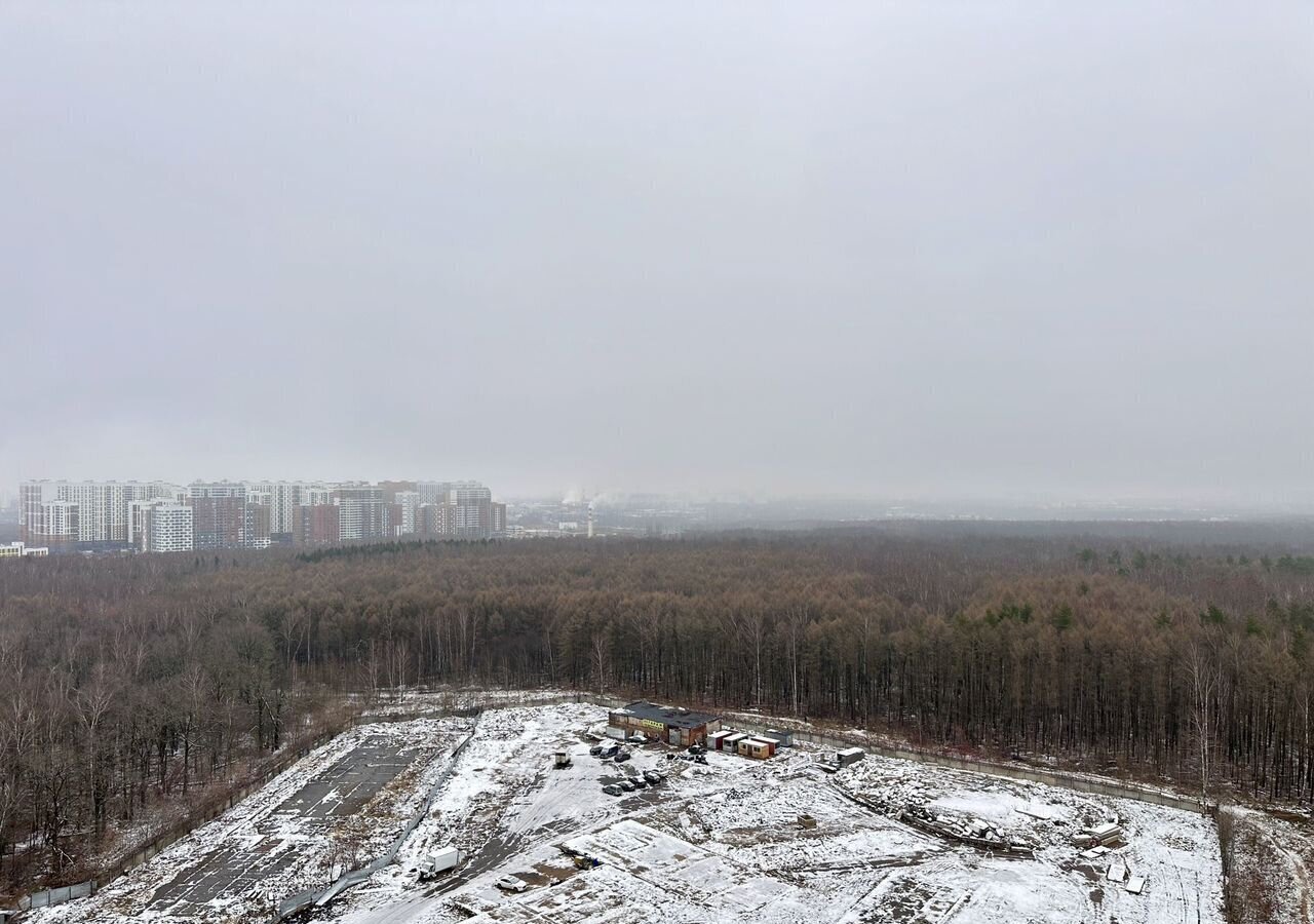 квартира городской округ Ленинский п Бутово ЖК Бутово Парк 14 Москва, Бутово фото 21