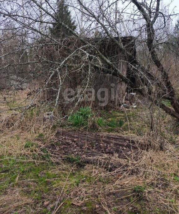 земля городской округ Орехово-Зуевский СНТ Мечта фото 5