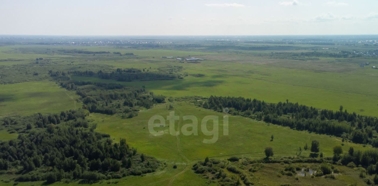 земля р-н Тюменский с Яр фото 1