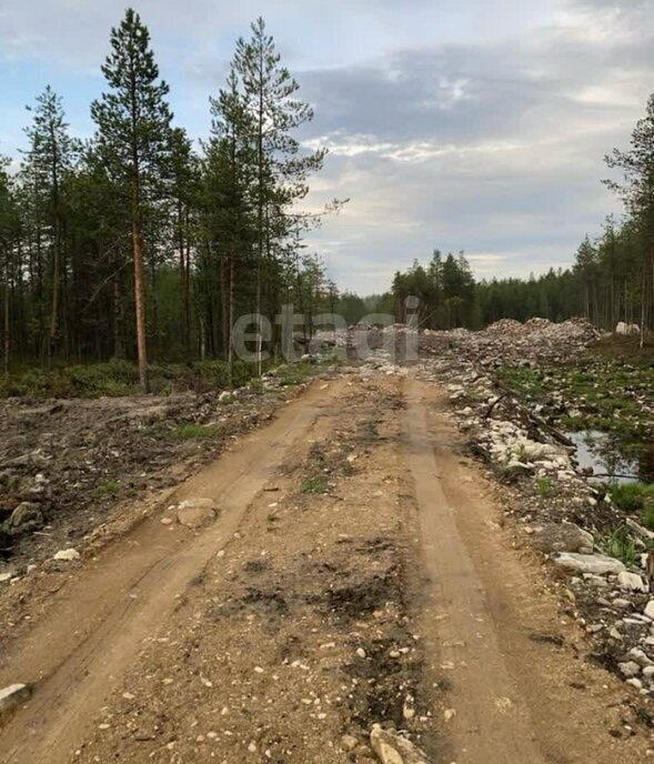 земля р-н Приморский п Катунино снт тер.Гвардеец фото 4